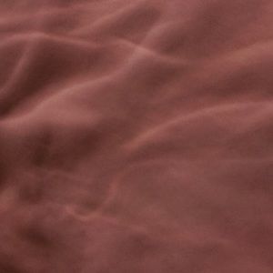 Meet your Posher, Deasia